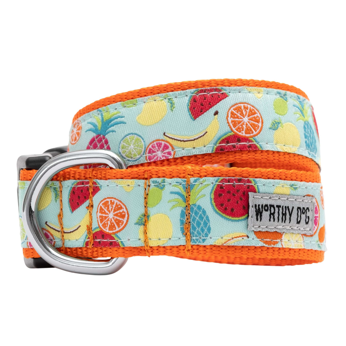 TUTTI-FRUTTI-DOG-COLLAR