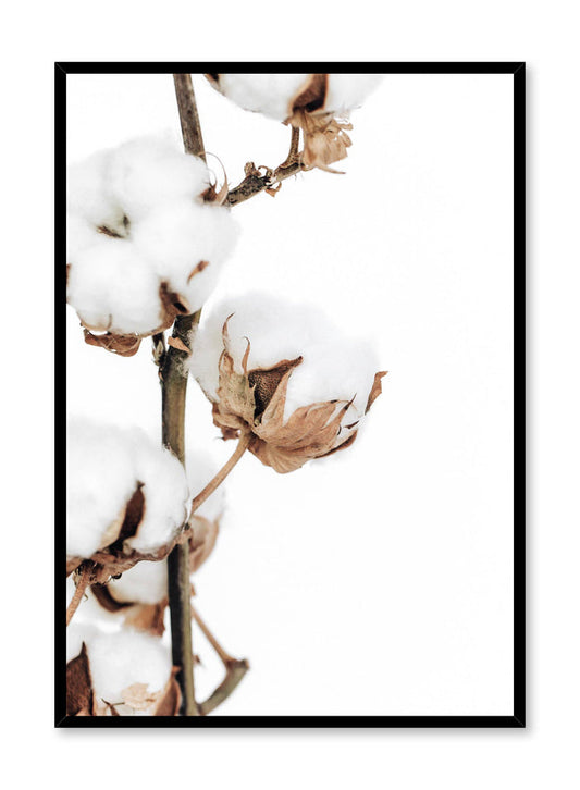 Minimalistic wall poster by Opposite Wall with cotton branch botanical photography