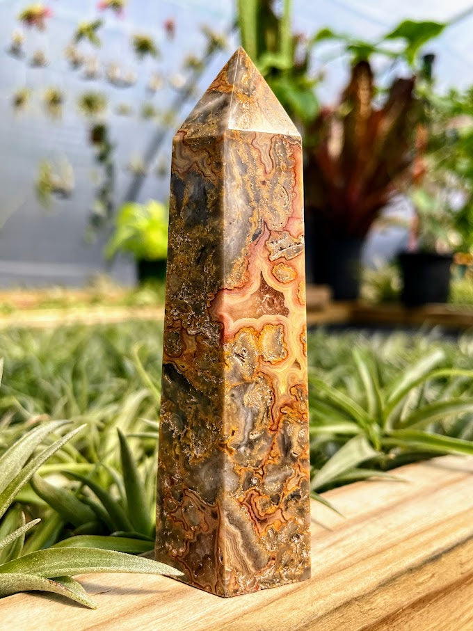 Crazy Lace Agate Crystal Point