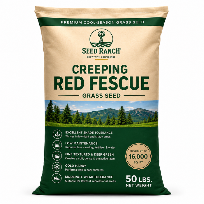 Creeping Red Fescue Grass Seed - Seed World