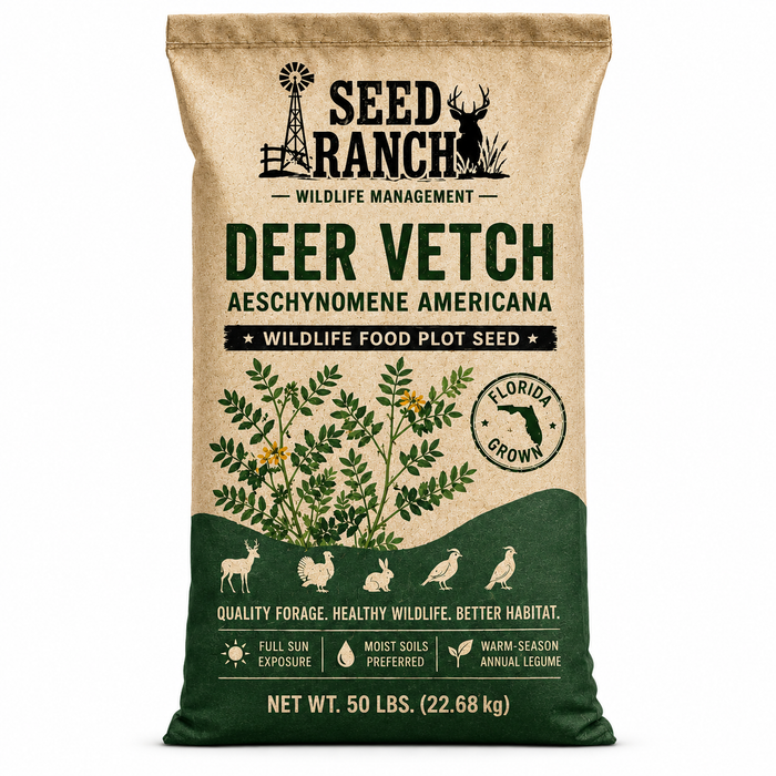 Deer Vetch Aeschynomene Joint Vetch Seed - Seed World