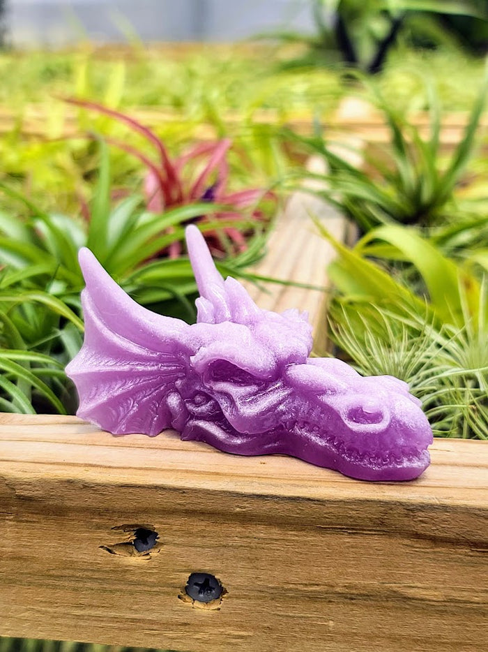 Dragon Head Luminous Carving