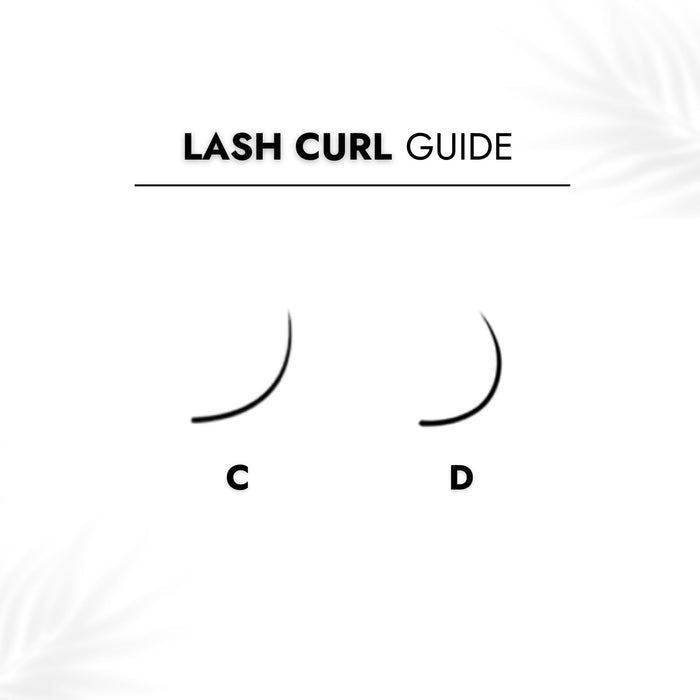 Rapid Promade Fan Lash Curl Guide