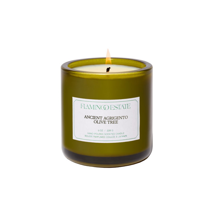 Ancient Agrigento Olive Tree Candle - Living Beauty
