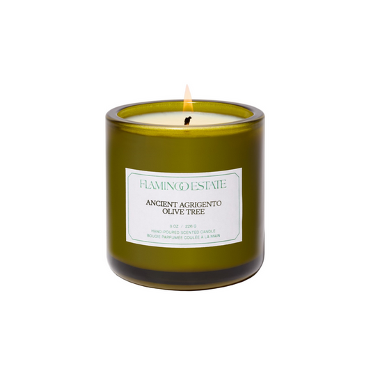 Ancient Agrigento Olive Tree Candle - Living Beauty