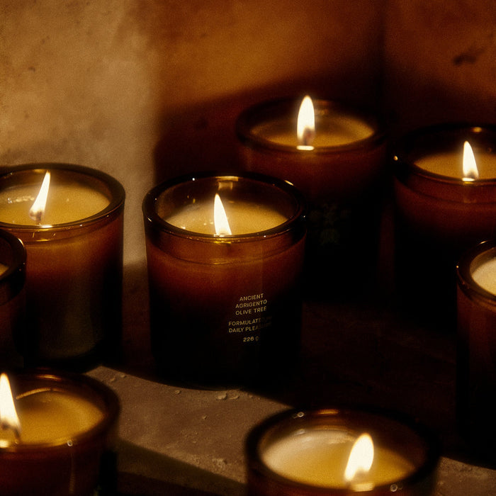 Ancient Agrigento Olive Tree Candle - Living Beauty