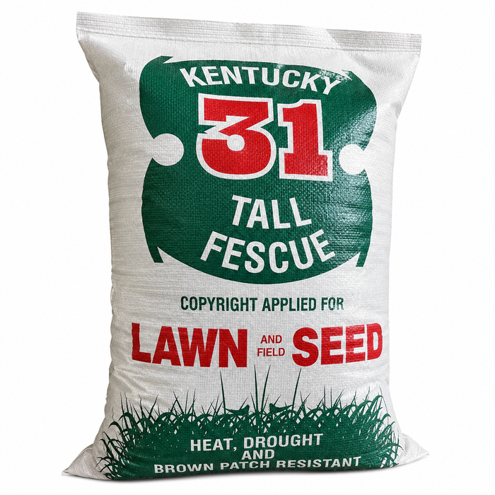 Kentucky 31 Tall Fescue Grass Seed (Raw) - Seed World