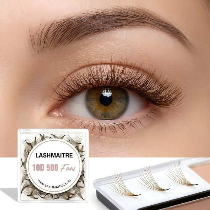 LASHMAITRE 10D Dark Brown Loose Premade Fans - Pointy Base 500 Fans applied eye result