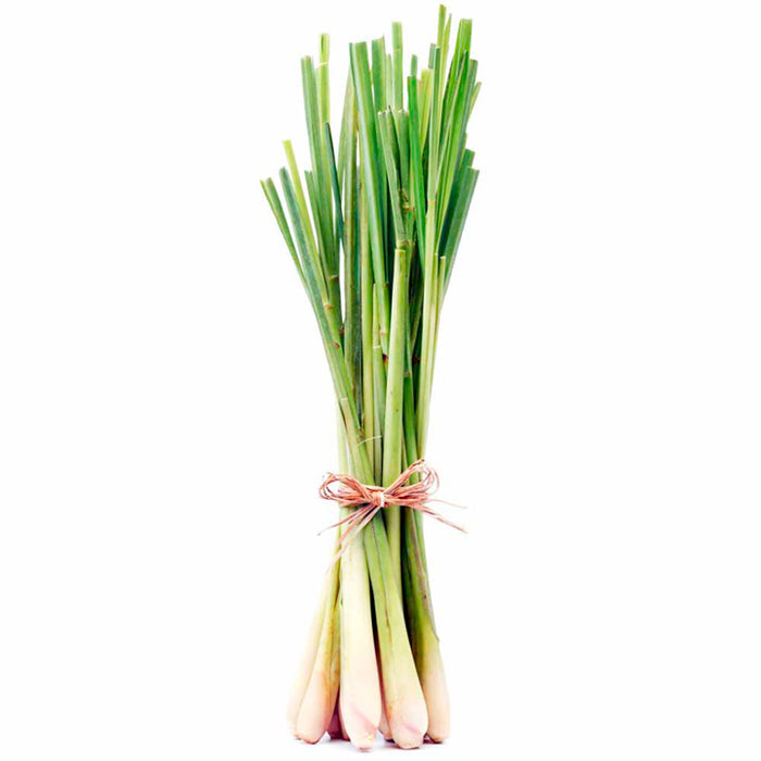 Lemongrass essential oil 10ml - i-Spa
