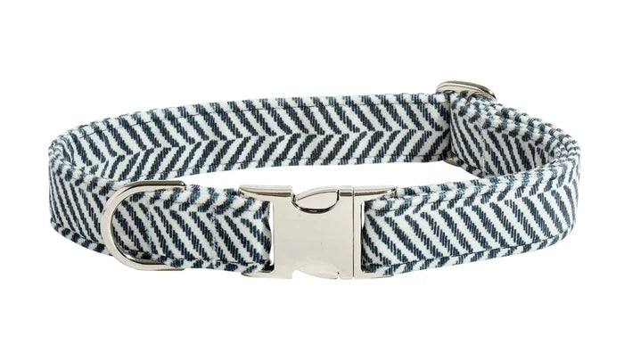 Black and white striped dog collar with a silver buckle on a white background