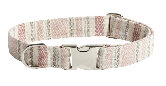 Striped dog collar with a metal buckle on a white background