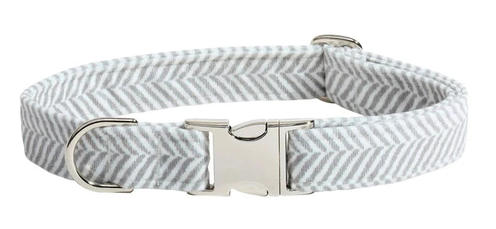 Dog collar with a metallic buckle on a white background