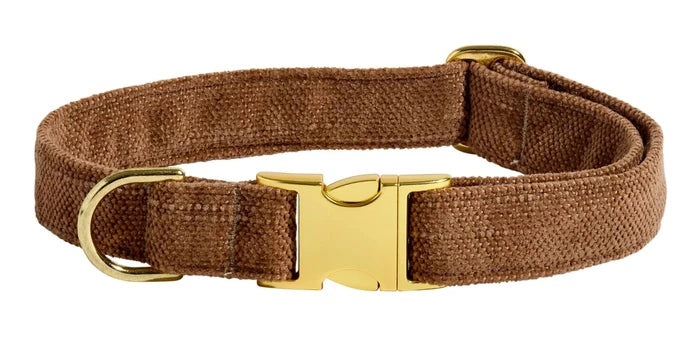 Brown dog collar with a gold buckle on a white background