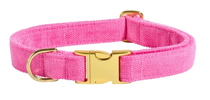 Pink dog collar with gold buckle on a white background