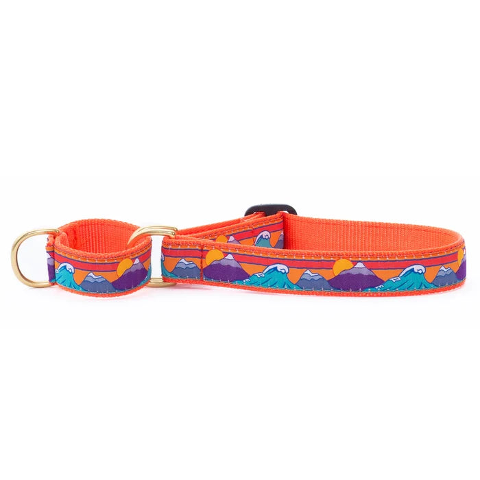 ski-surf-dog-collar-martingale-no-pull
