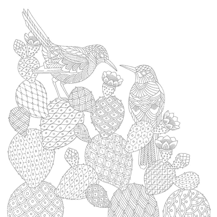 Millie Marotta's Animal Adventures Coloring Book