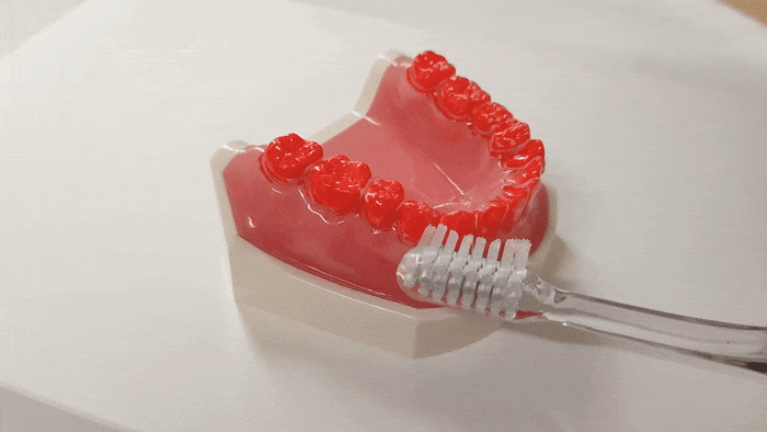 Miracle Toothbrush – Hawaii Original 7-Set