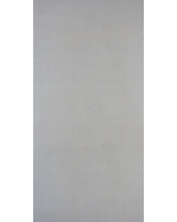 Neutral Curves - NL 9079