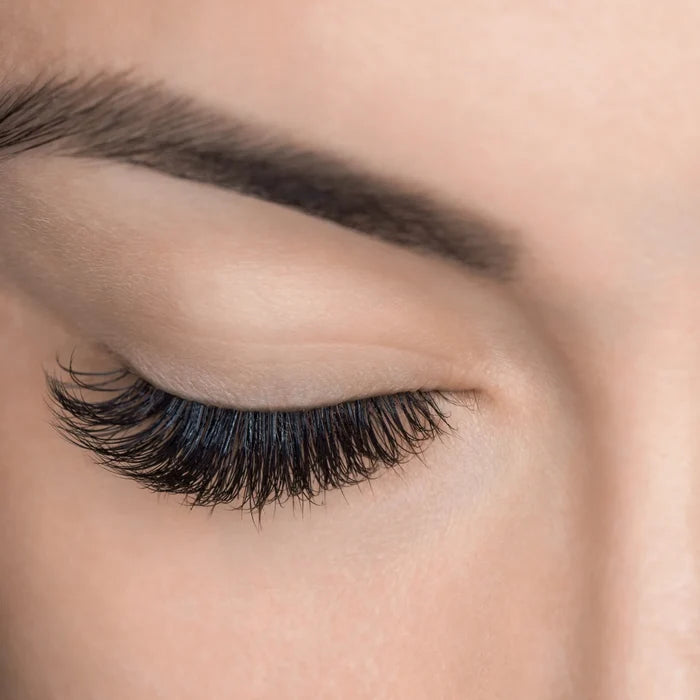 Nouveau Lashes | Global Volume Start Up kit