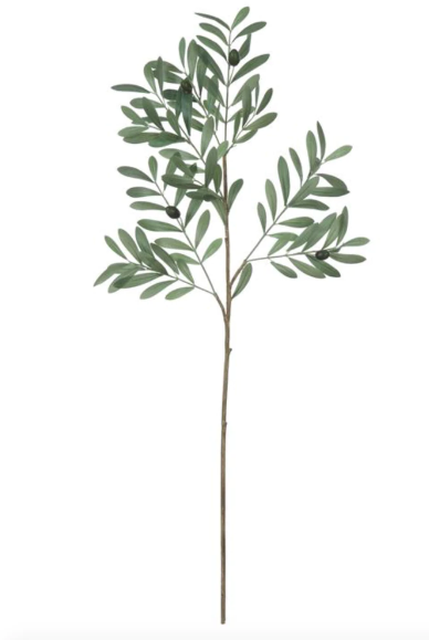 Olive Branch