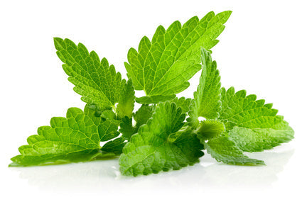 Patchouli essential oil 10ml - i-Spa