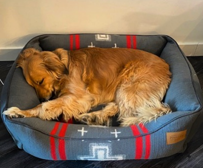 PENDLETON-SAN-MIGUEL-DOG-BED-CUDDLER