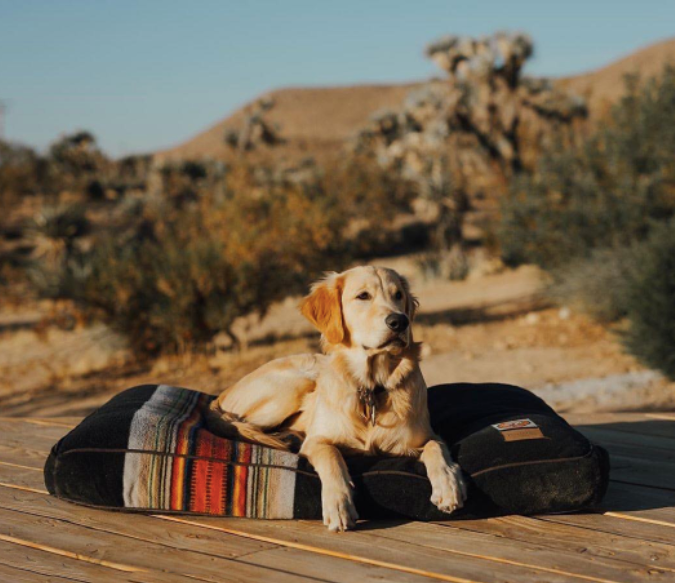 PENDLETON-ACADIA-NATIONAL-PARK-DOG-BED