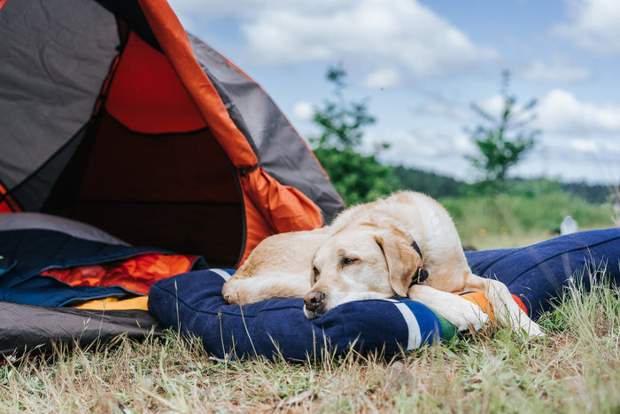 CRATER-LAKE-DOG-BED-PENDLETON-BOULDERBARKS