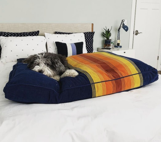 DOG-BED-GRAND-CANYON-NAPPER-BOULDERBARKS-PENDLETON