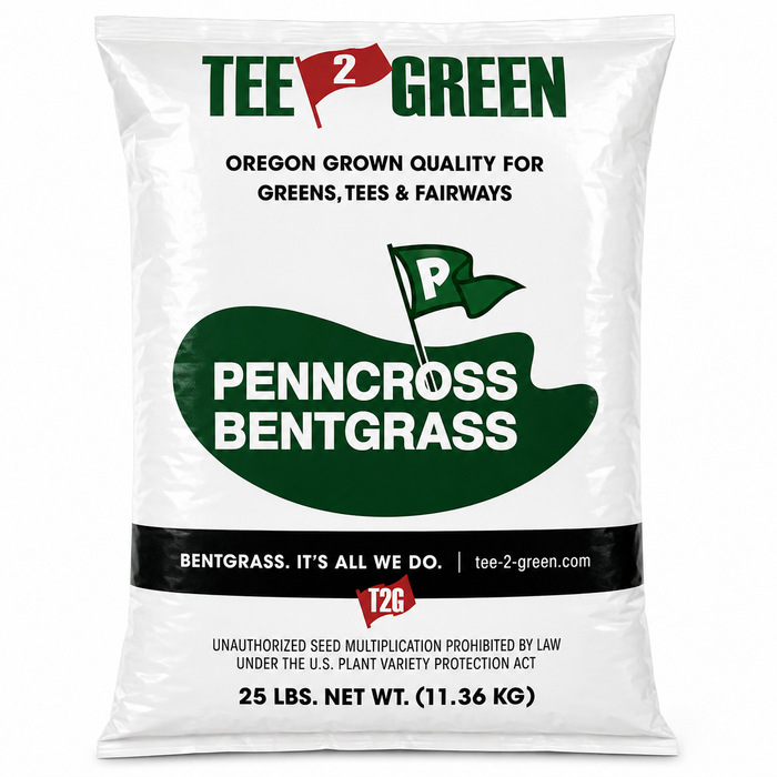 Penncross Coated Bentgrass Seed (Coated) - Seed World