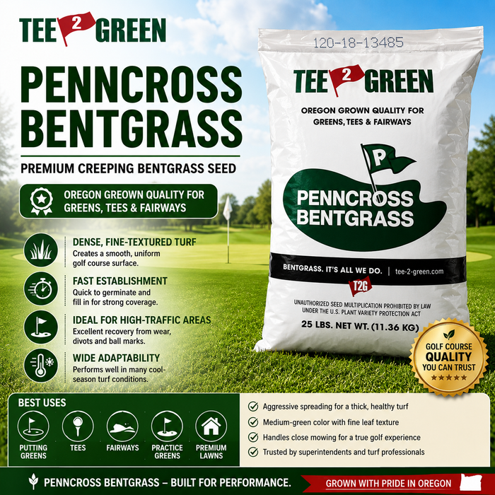 Penncross Coated Bentgrass Seed (Coated) - Seed World