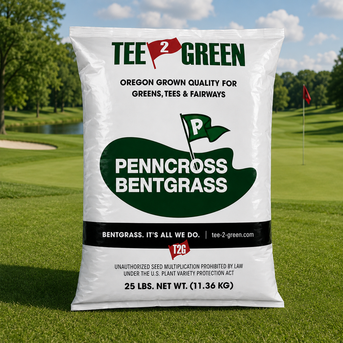 Penncross Coated Bentgrass Seed (Coated) - Seed World