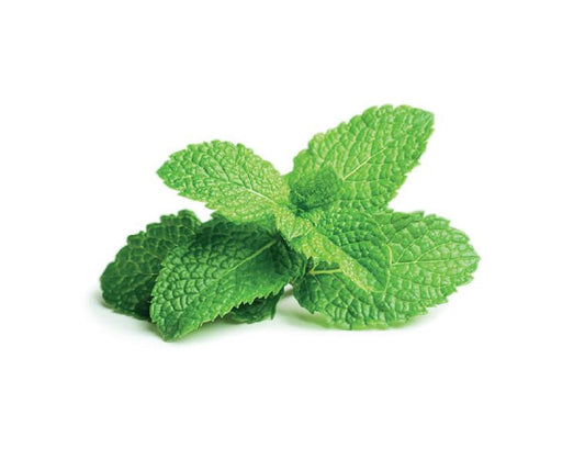 Peppermint essential oil 10ml - i-Spa