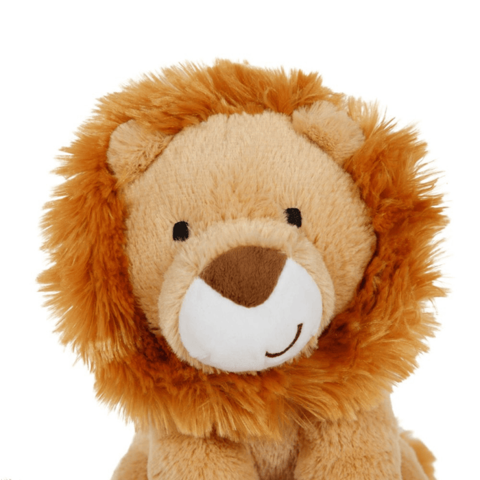 Petface Luis Lion Up Close