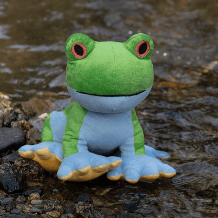 Green frog plush dog toy with a blue underside, yellow feet and red eyes sitting outside next to a stream.