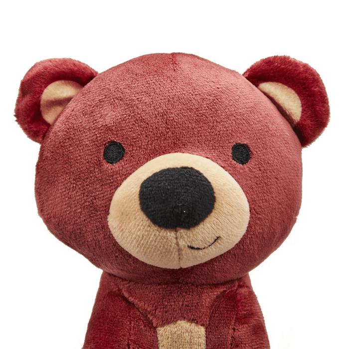Close up of brown teddy bear dog toy with a cream muzzle and belly on a white background.