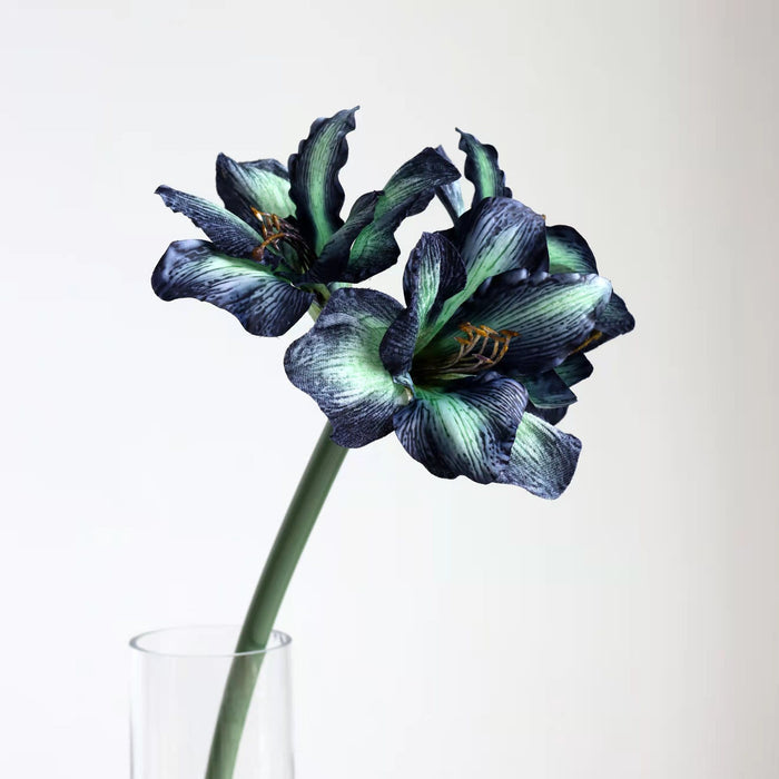 Violet / 21"