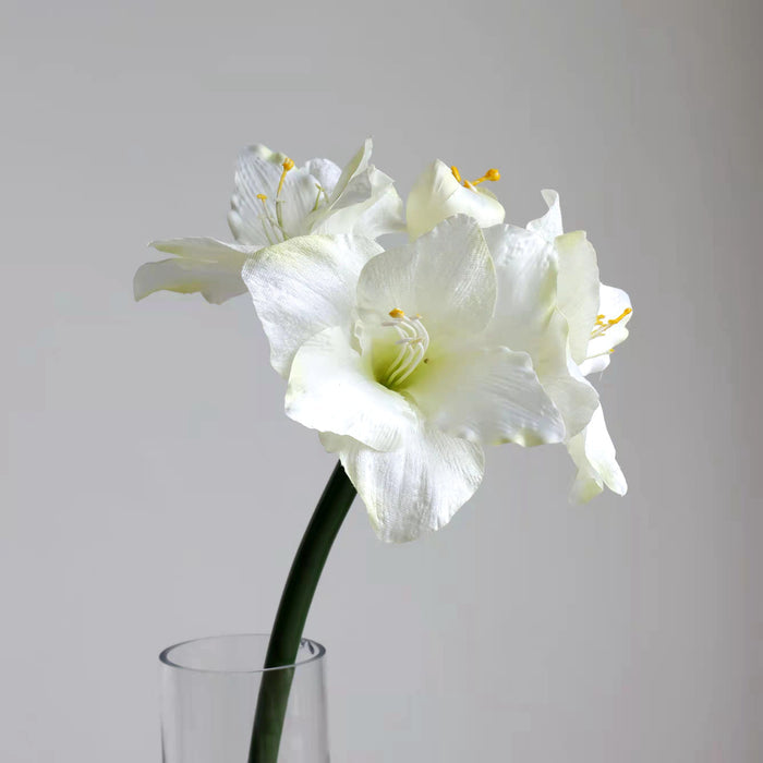 White / 21"