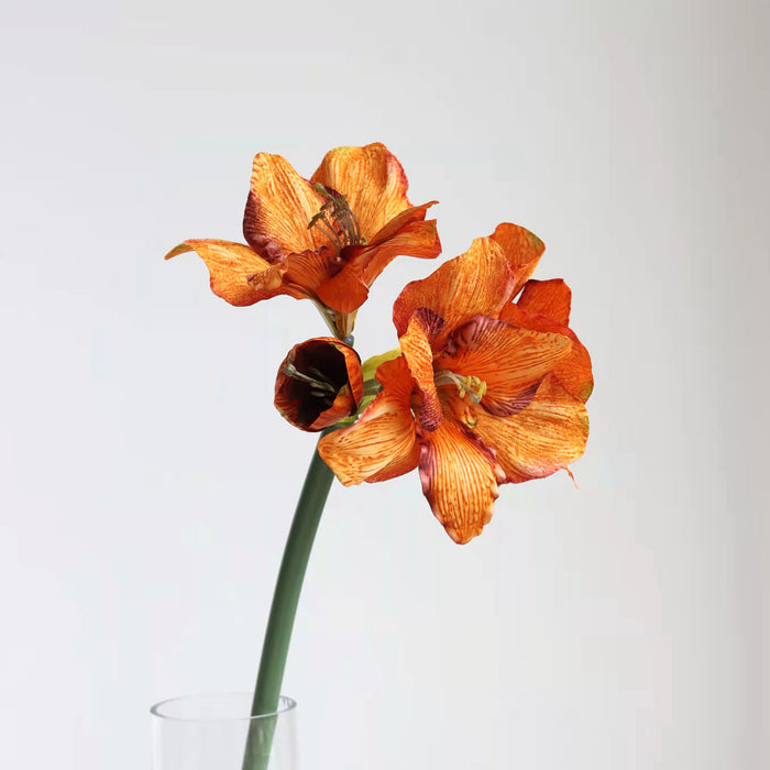 Orange / 21"