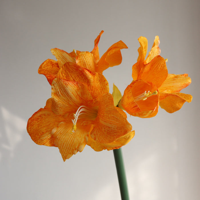 Yellow / 21"