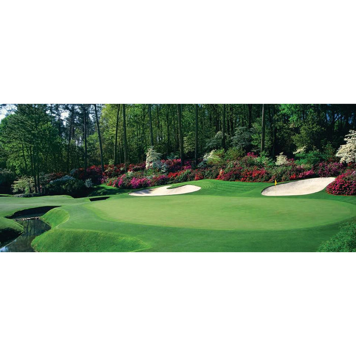 Princess 77 Bermuda Grass