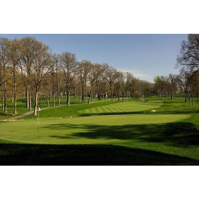 Princess 77 Bermuda Grass Seed - Seed World