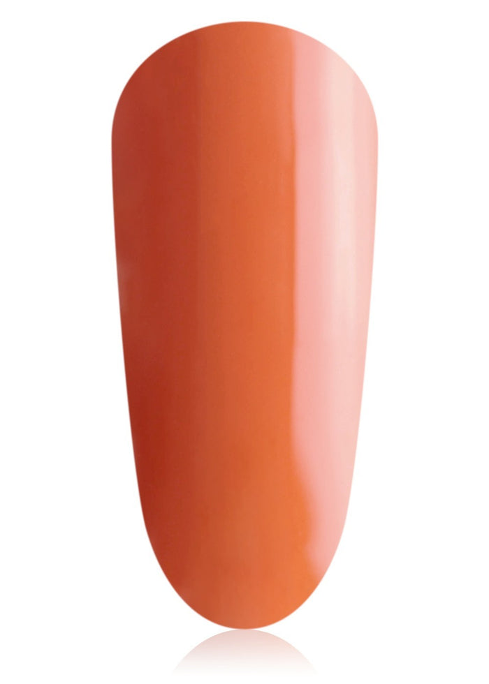 Pumpkin Mini