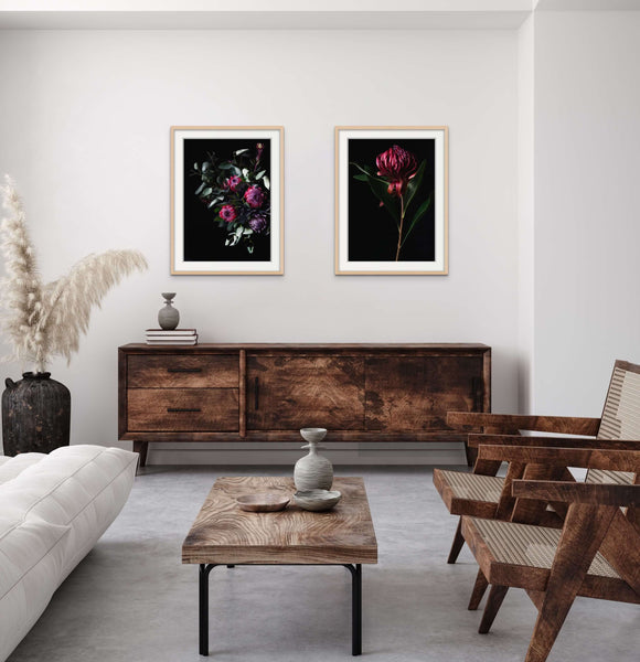 Red Waratah | Elise Catterall