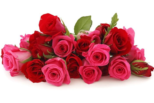 Rose blend essential oil 10ml - i-Spa