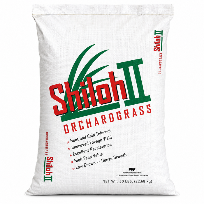 Shiloh II Orchard Grass Seed - Seed World