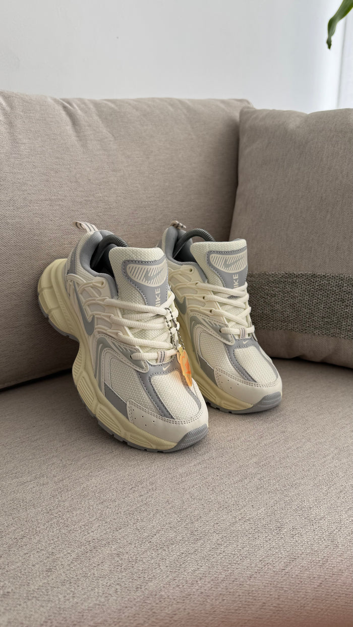 NIKE SKATE BEIGE GRIS