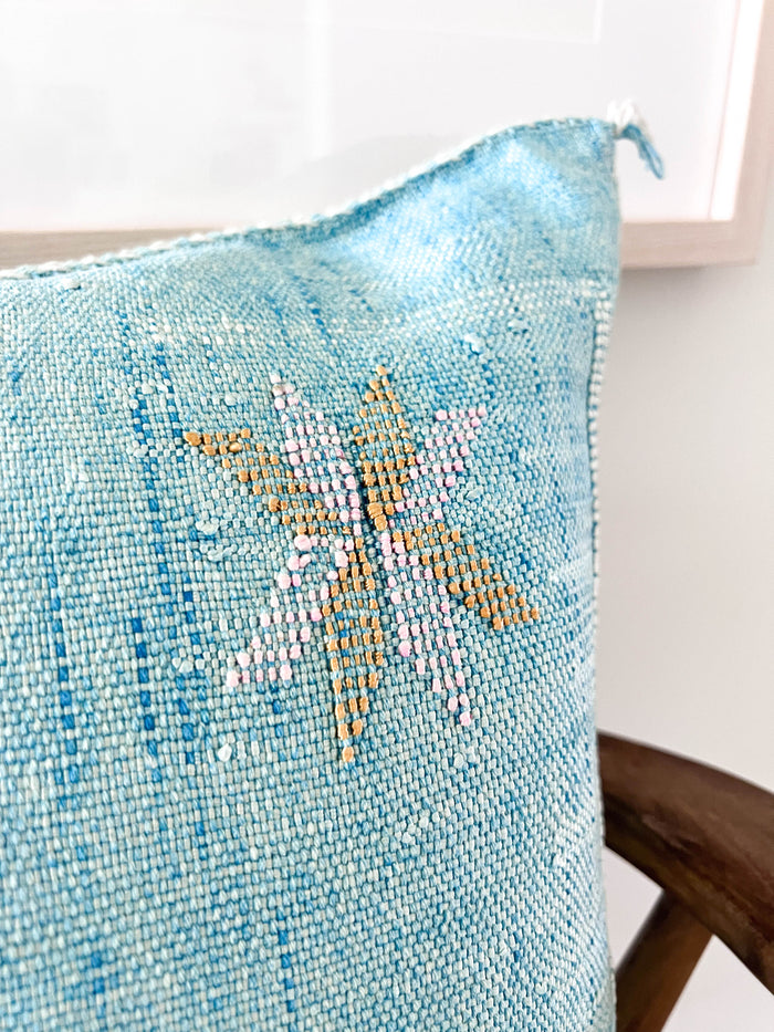 Sky XLII Moroccan Sabra Cactus Silk Pillow