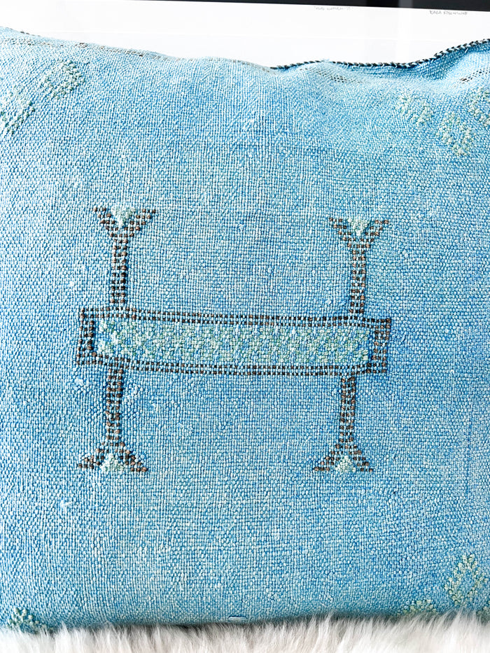 Sky XLIII Moroccan Sabra Cactus Silk Pillow