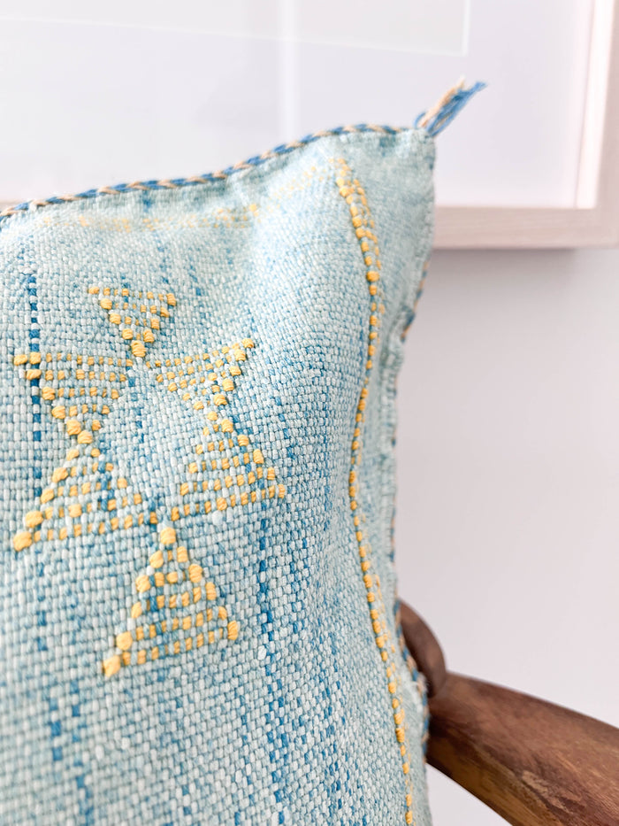 Sky XXXIX Moroccan Sabra Cactus Silk Pillow